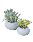 Stone Succulent Pot