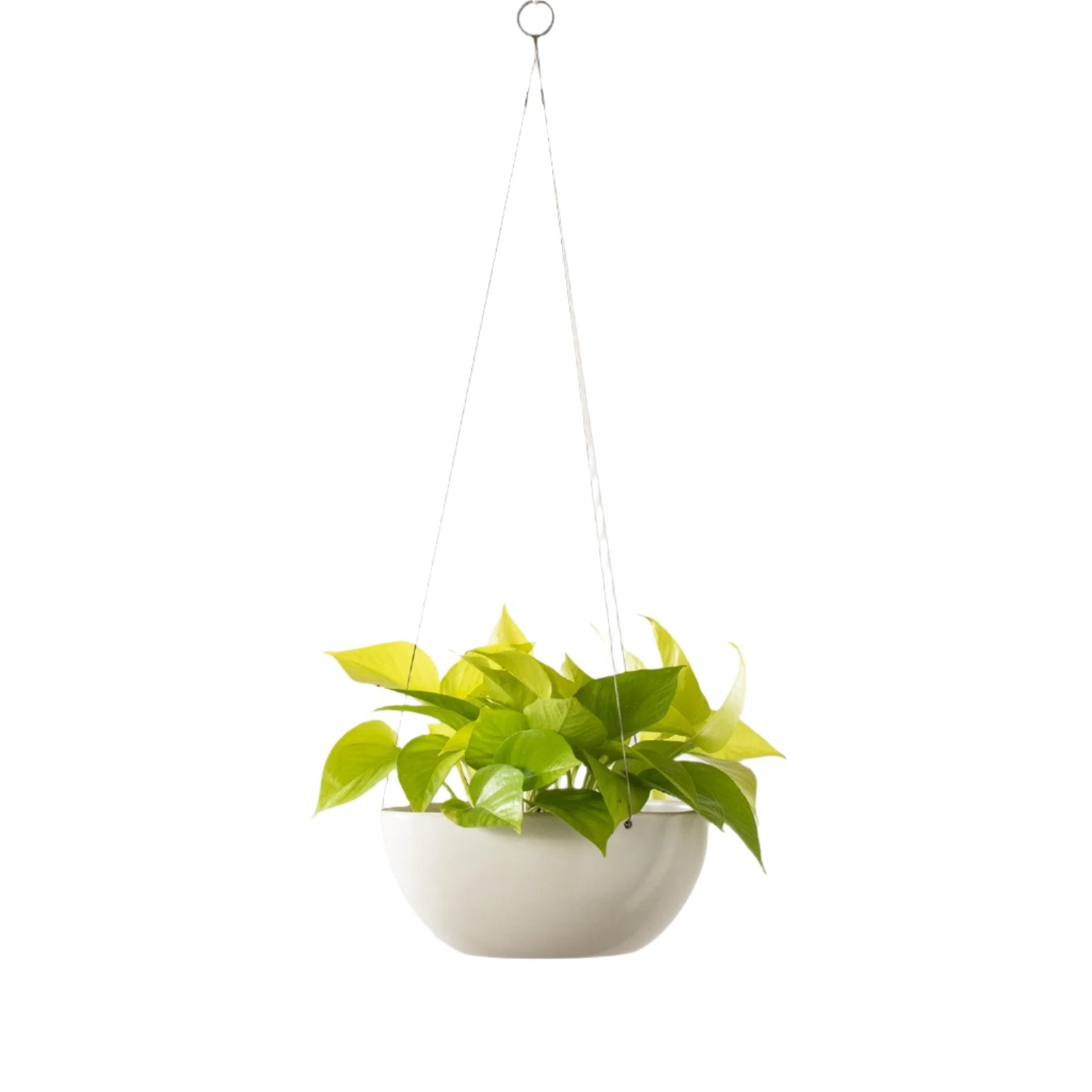 hanging house plant pots Minimal Hanging Planter