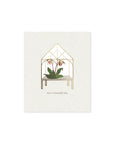 Orchid Terrarium Pop-Up Card