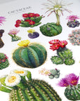 Flowering Cactus Species Print