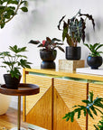 Varick Self-Watering Pot