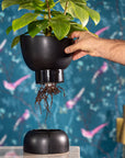 Varick Self-Watering Pot