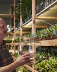 Message Terrarium