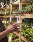 Message Terrarium