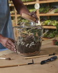 Message Terrarium
