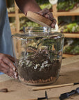 Message Terrarium