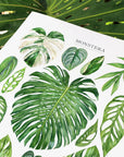 Monstera Species Print