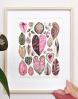 Pink Houseplant Varieties Print