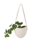 Spora Wall Pot