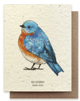 Bluebird Card