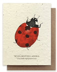 Ladybug Card