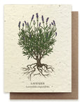Lavender Card
