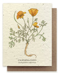 California Poppy Card