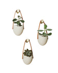 Spora Wall Pot