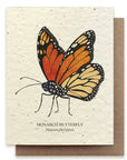 Monarch Butterfly Card