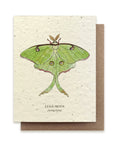 Luna Moth Card