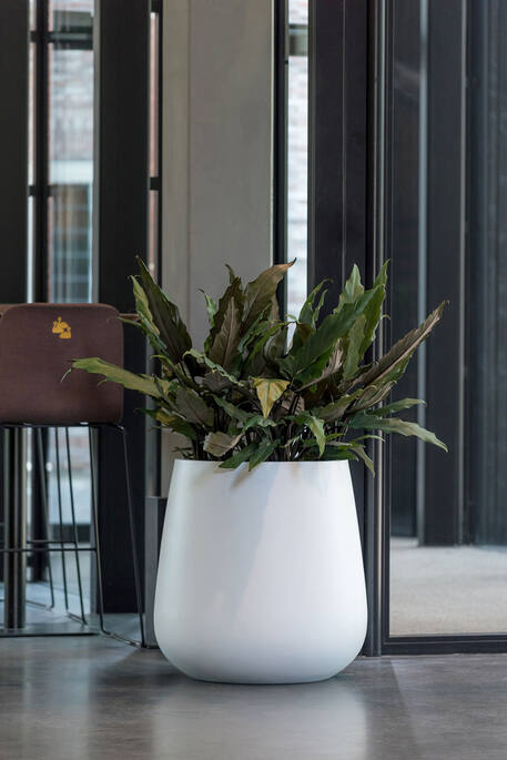 Pax Pot - Thumbnail 3