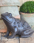 Cast Iron Frog