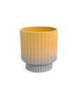 Striped Tumbler