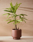 Botany Porcelain Pot