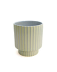 Striped Tumbler