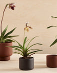 Botany Porcelain Pot