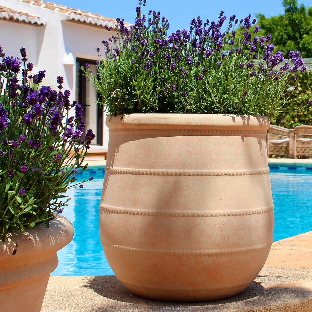 Diameter Plants Nika Pot - Thumbnail 2