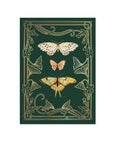 Flutter Pop-Up Card