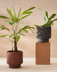 Botany Porcelain Pot