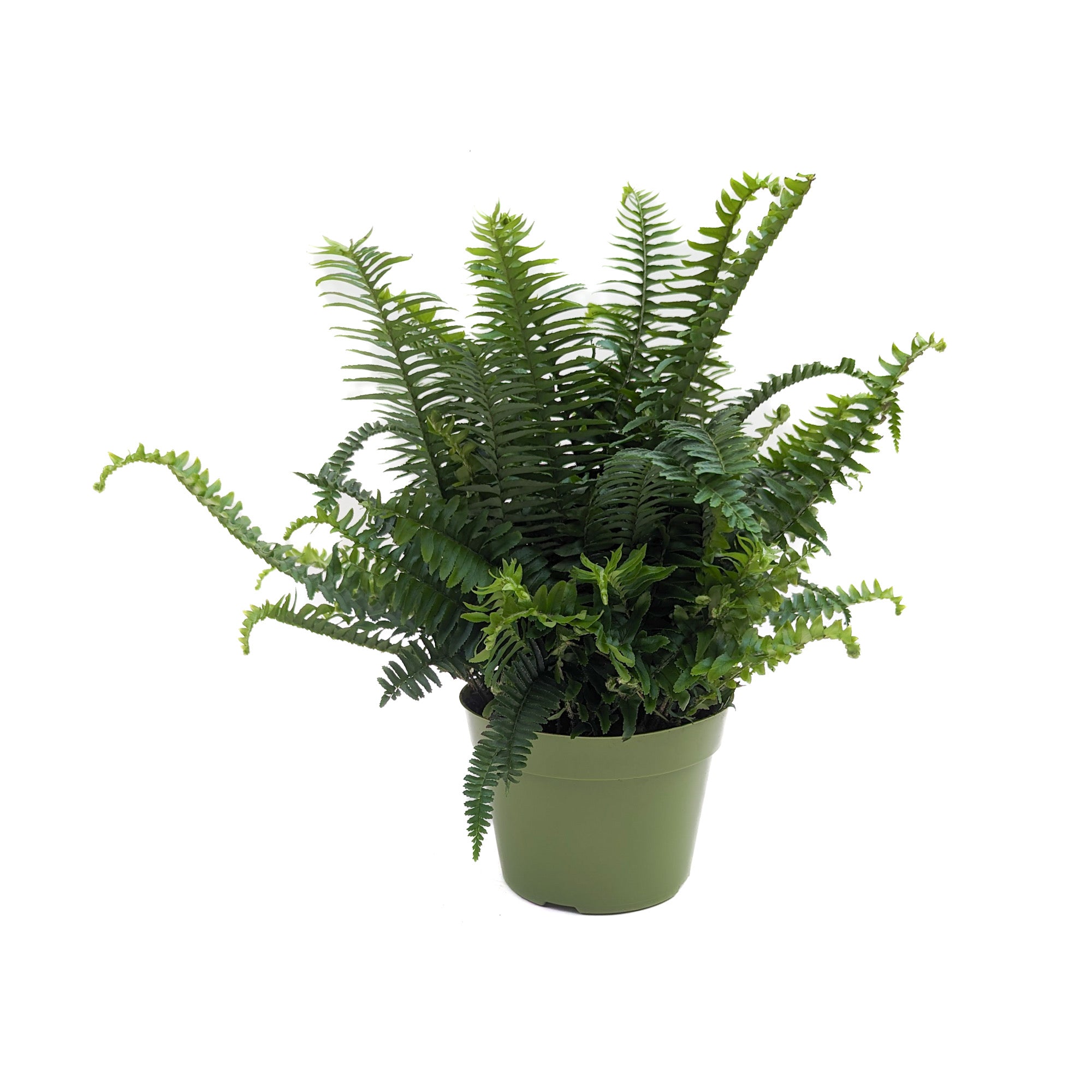 5BFA90F0-6B84-48EA-BDB5-