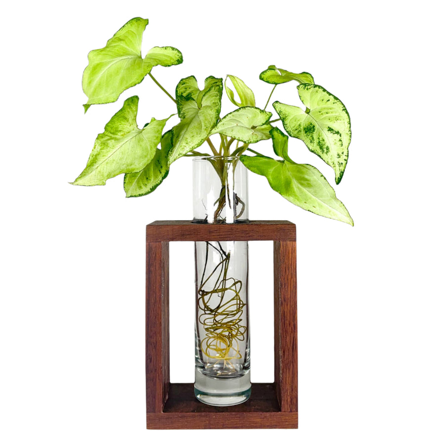Single Propagation Frame