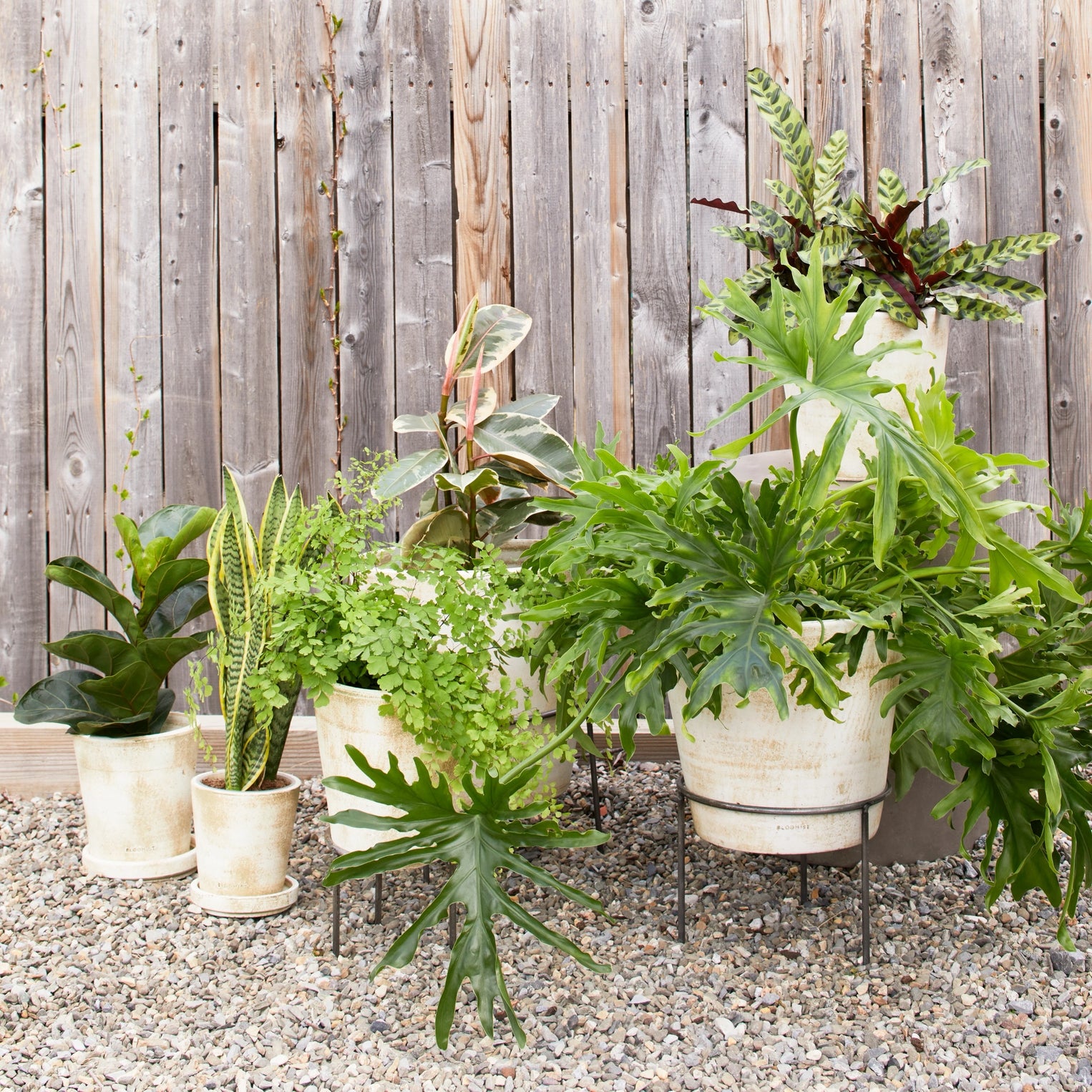 Wrought Iron Planter Stand - Thumbnail 2