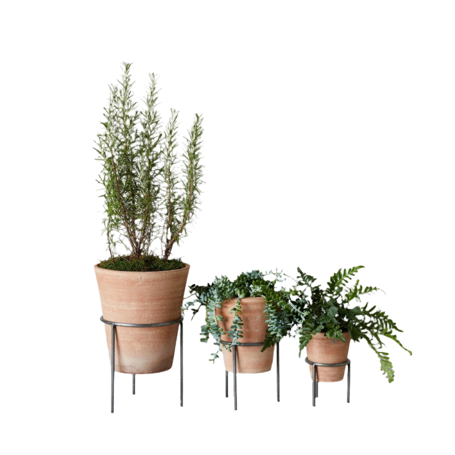 Wrought Iron Planter Stand