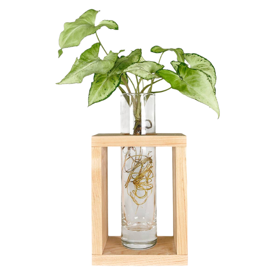 Single Propagation Frame