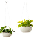 Minimal Hanging Planter