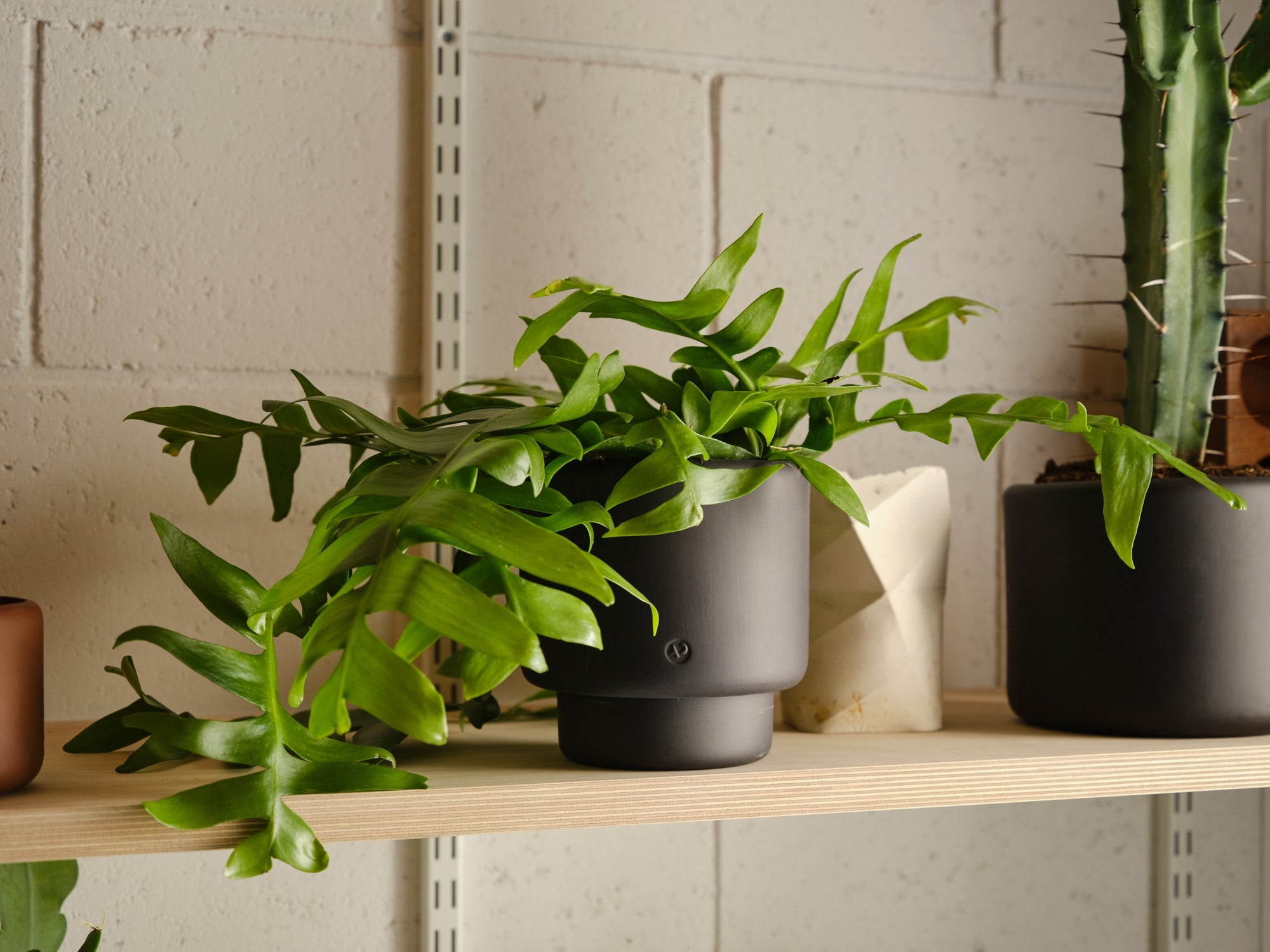 Botany Porcelain Pot