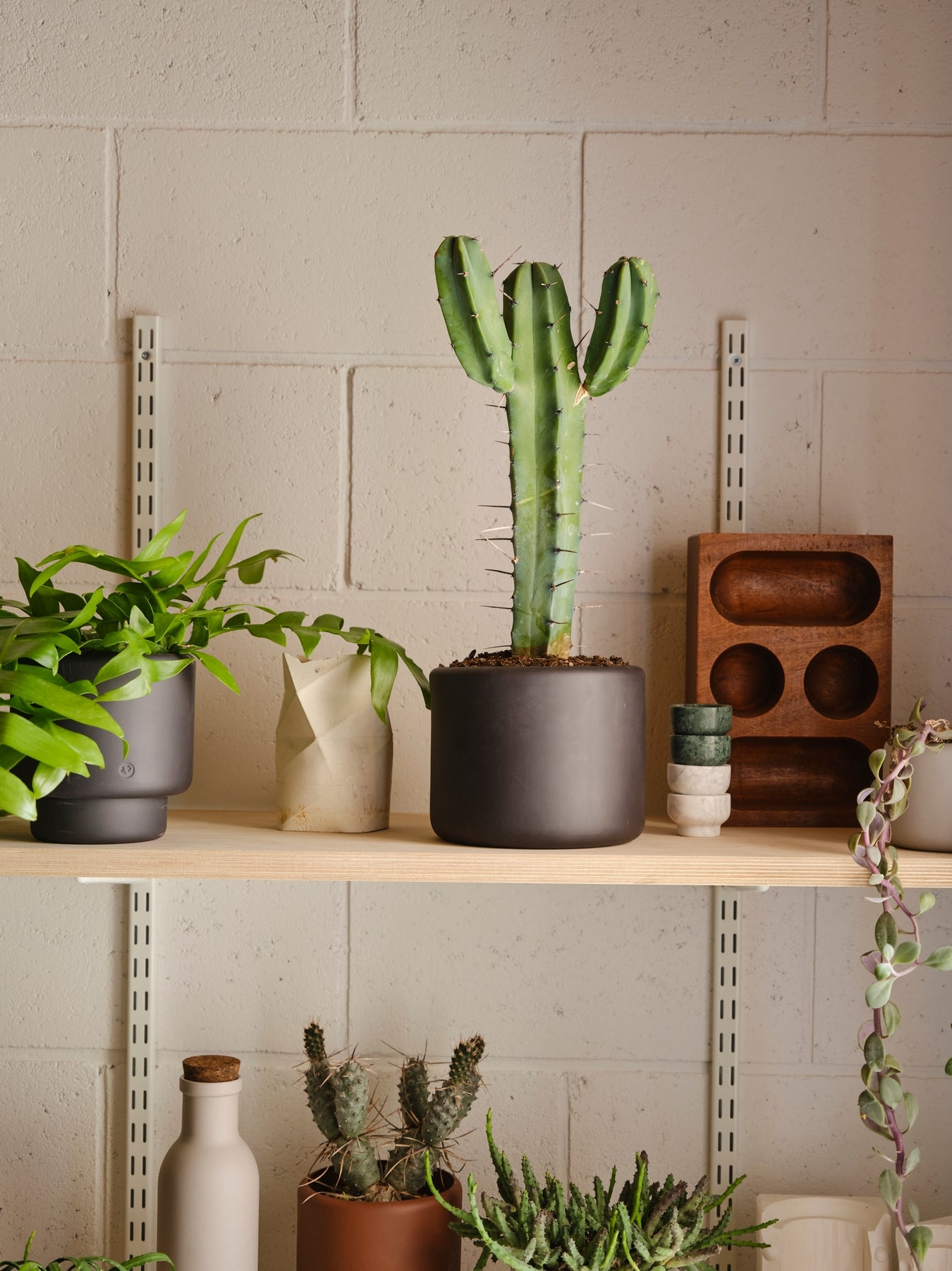 Botany Porcelain Pot