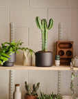 Botany Porcelain Pot