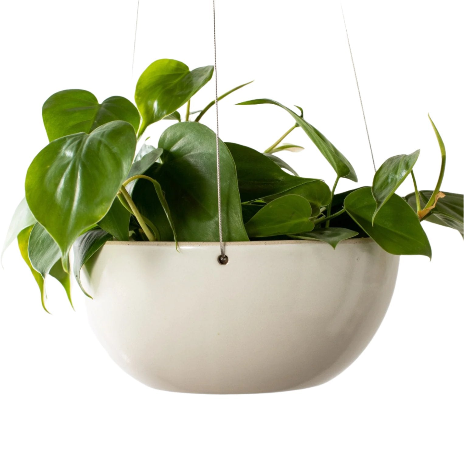 Minimal Hanging Planter