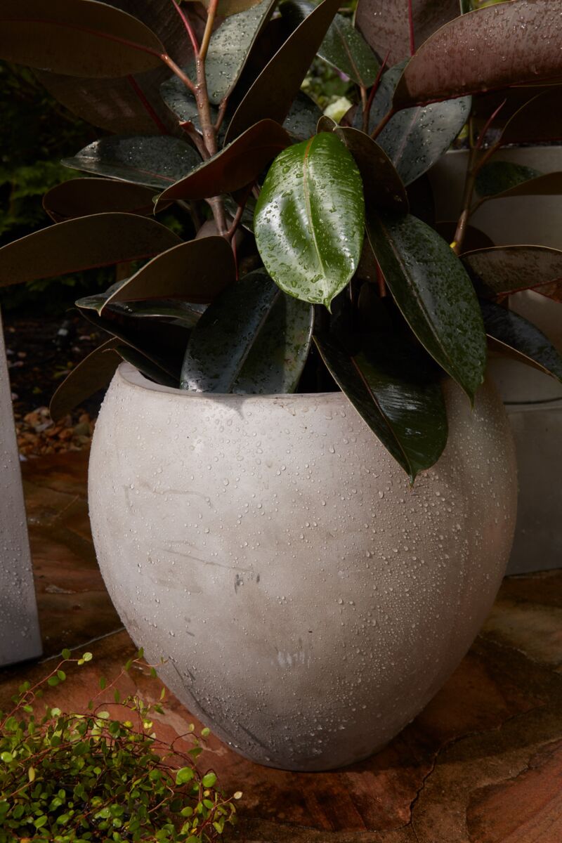 Newport Pot - Thumbnail 4