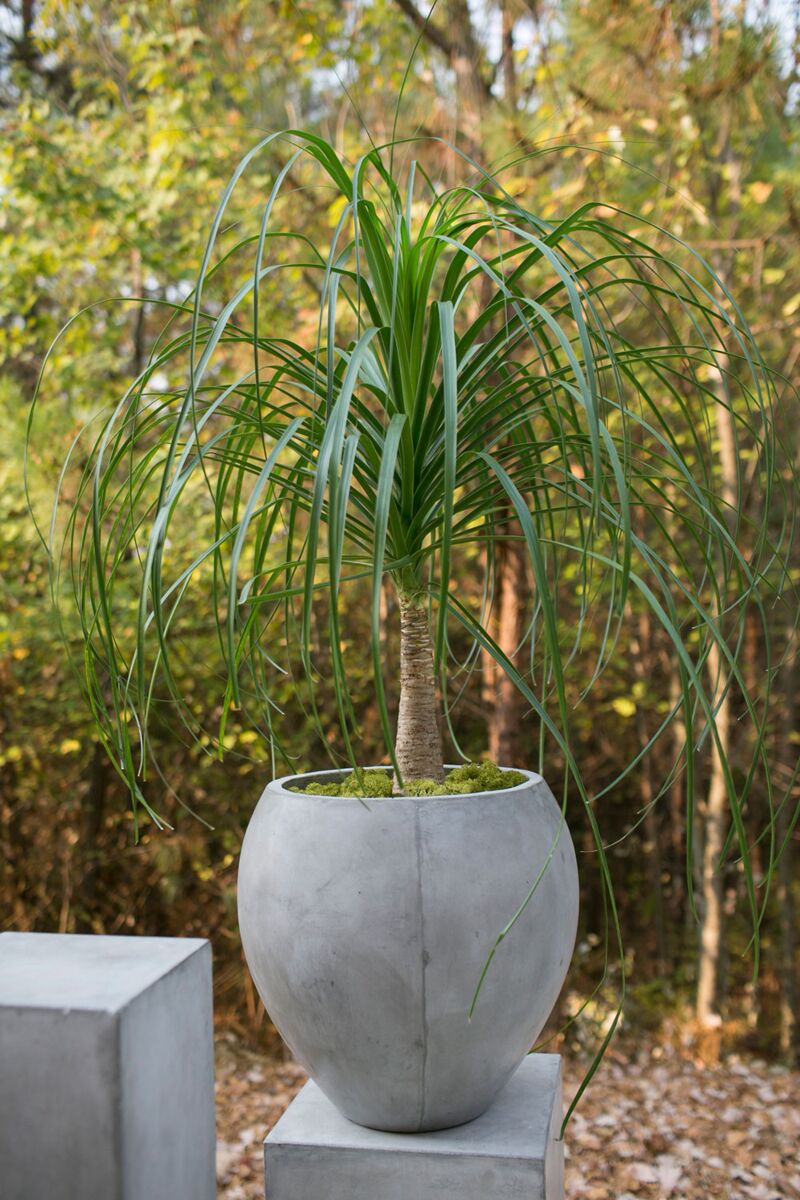 Newport Pot - Thumbnail 3