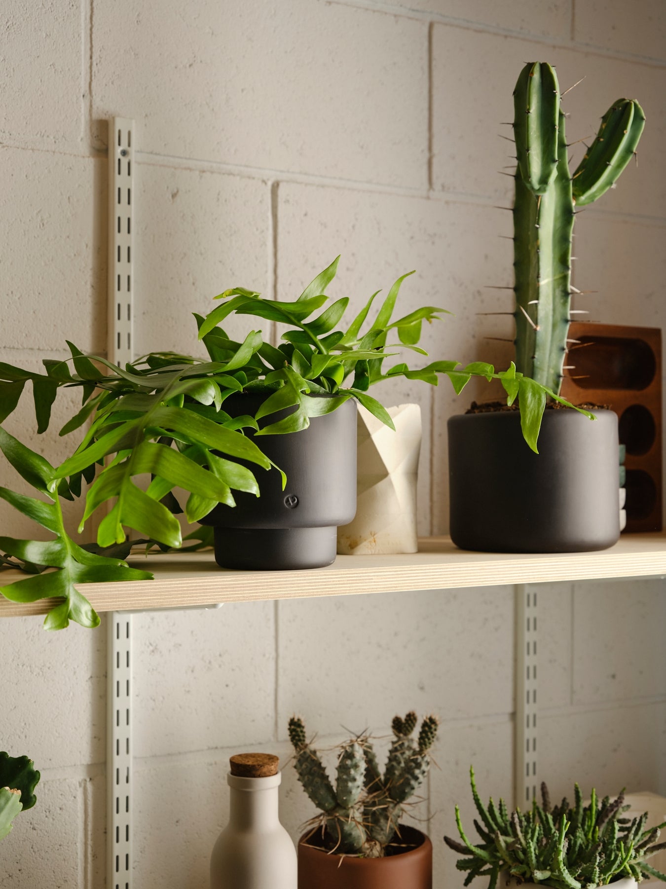 Botany Porcelain Pot