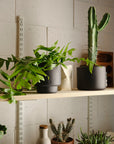 Botany Porcelain Pot
