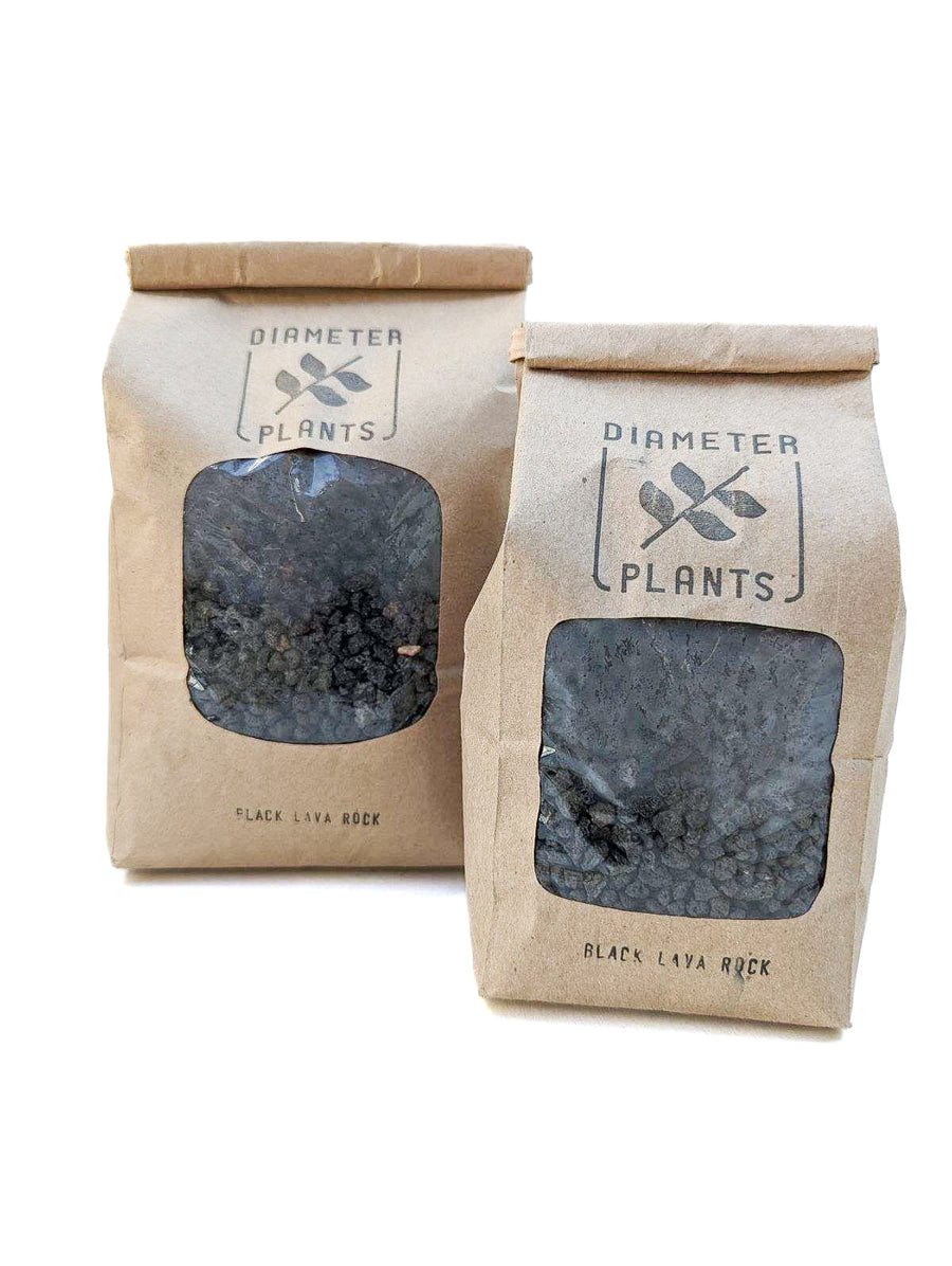Black Lava Rock