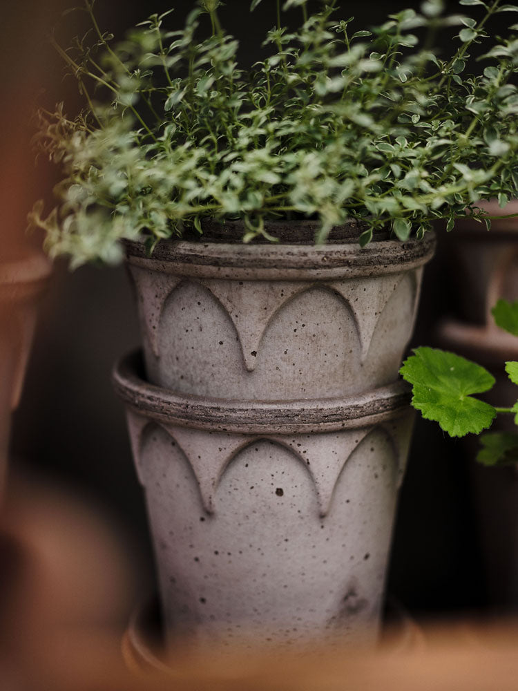 Elizabeth Pot