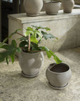 Delphi Pot