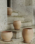 Delphi Pot