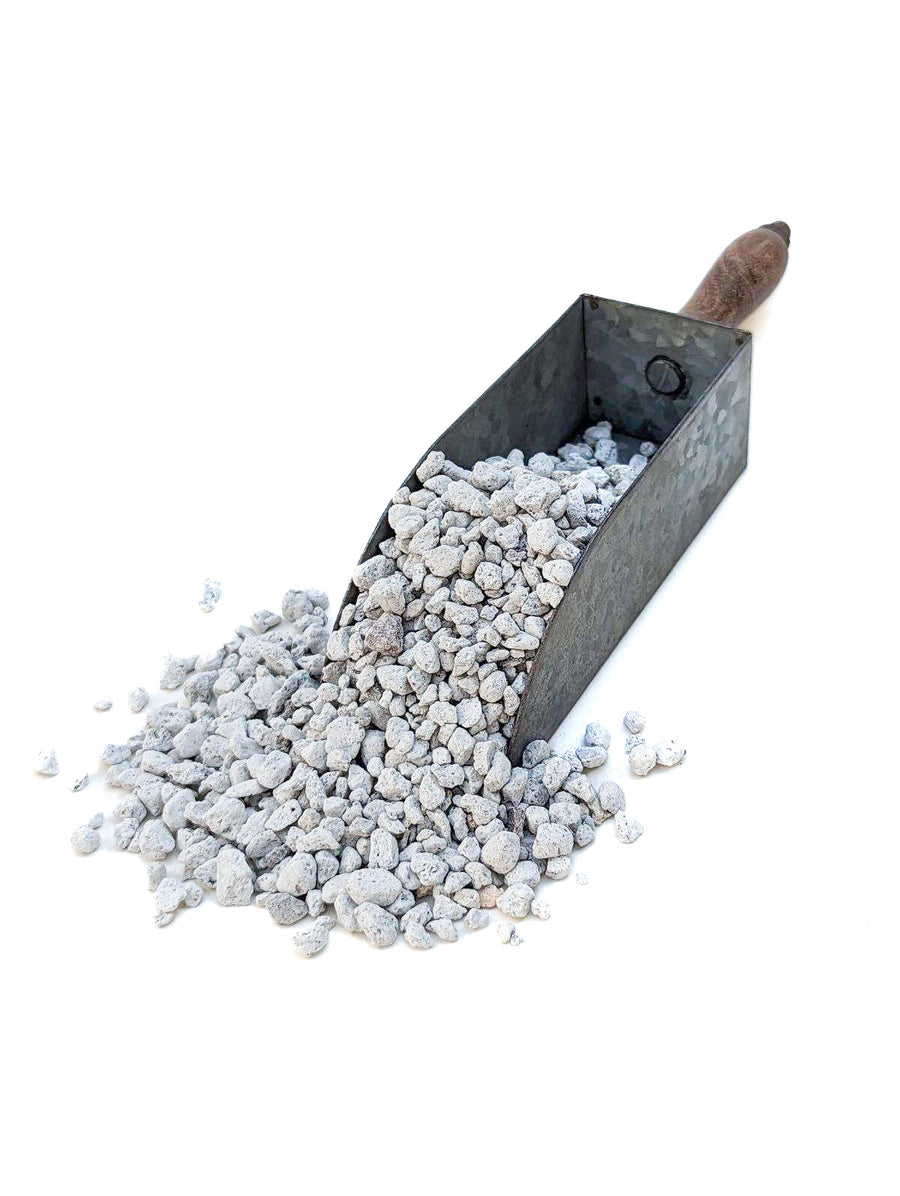 Pumice