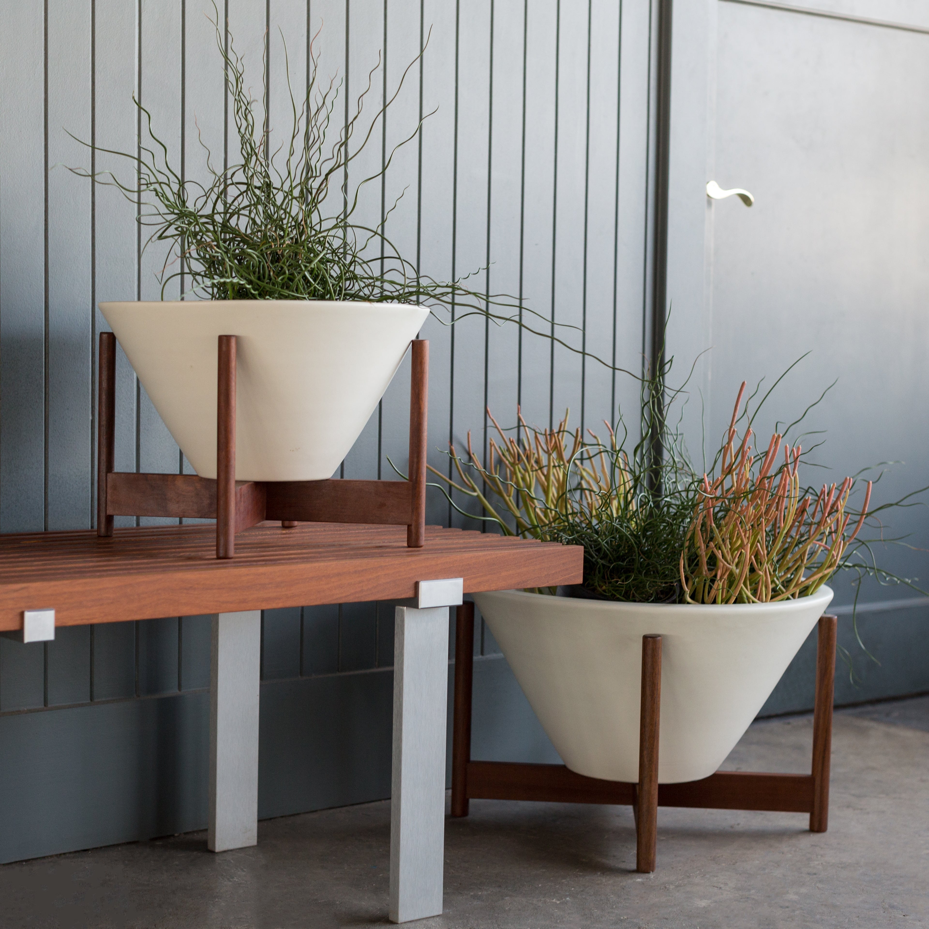 Apex Planter – Diameter Plants
