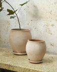 Delphi Pot